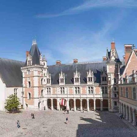 Petite Maison Avec Clim บลัวส์ ภายนอก รูปภาพ