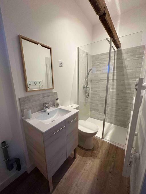 Petite Maison Avec Clim บลัวส์ ภายนอก รูปภาพ
