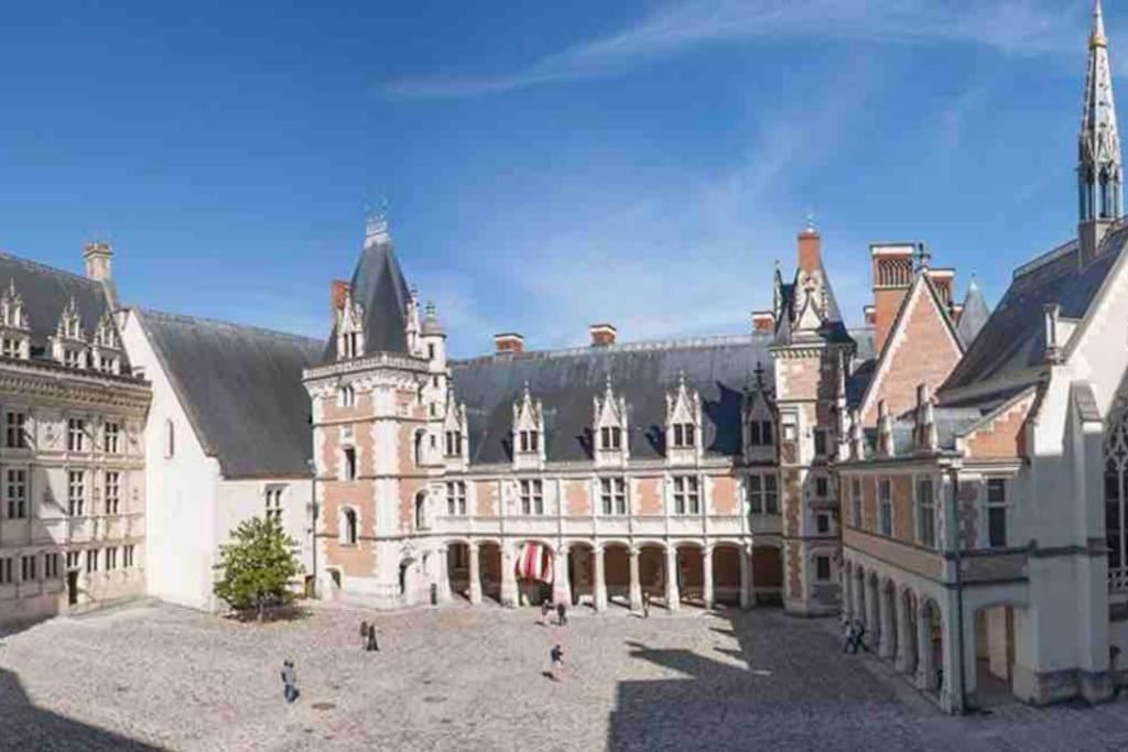 Petite Maison Avec Clim บลัวส์ ภายนอก รูปภาพ